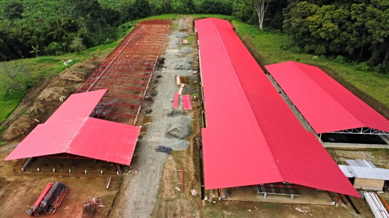 Roof-trapezoidal-01-1.jpg